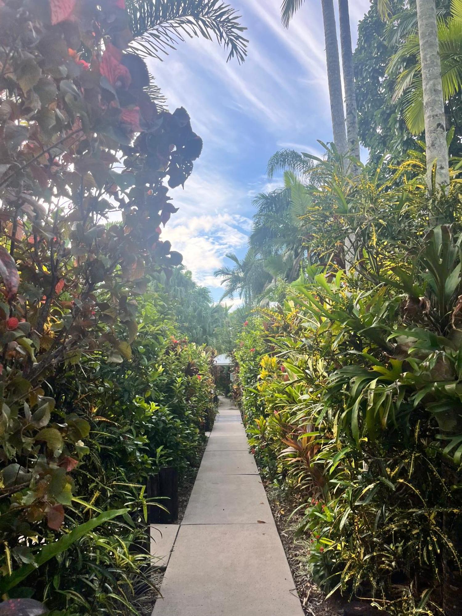 The 4* Palm Cove