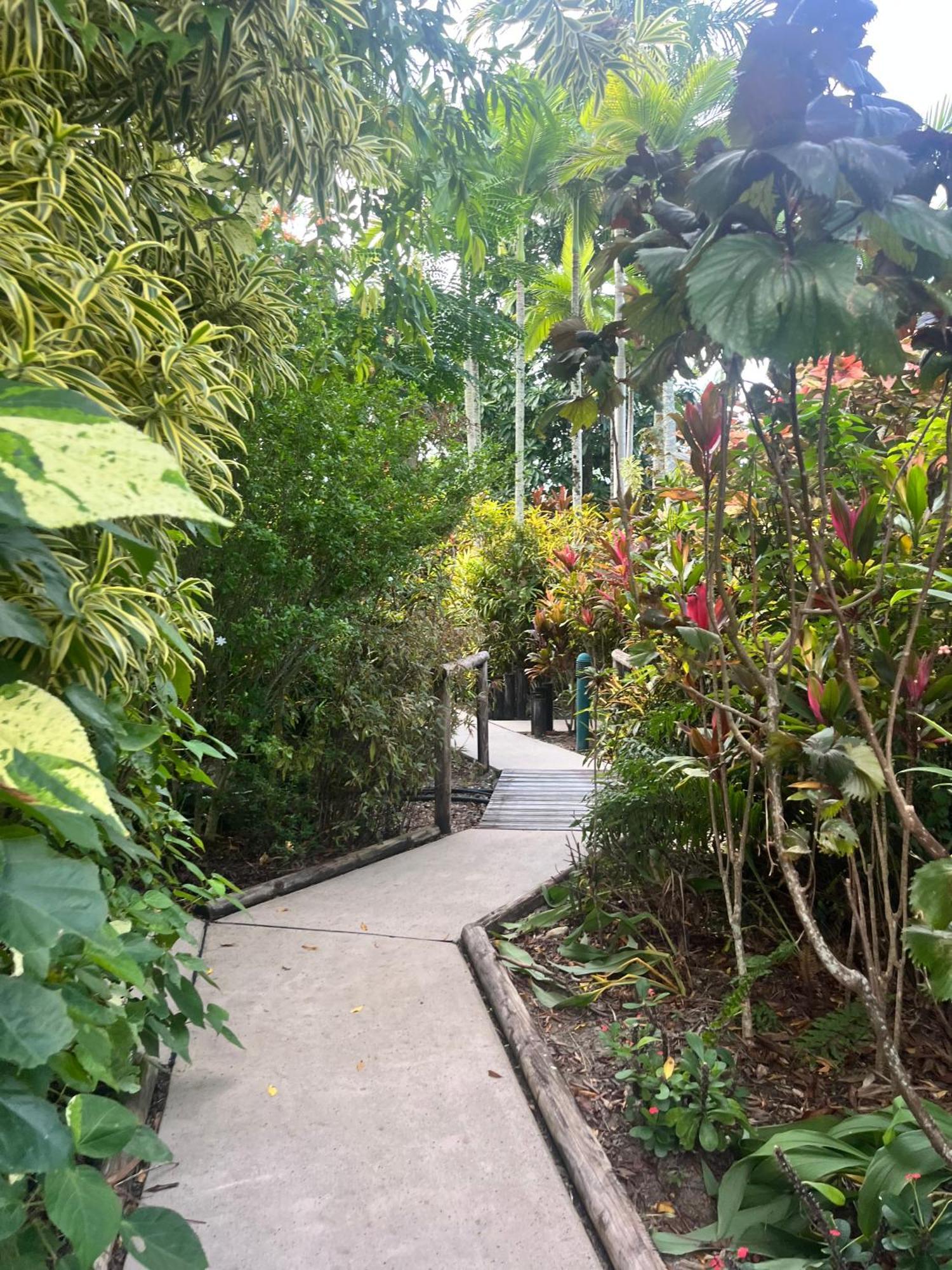 The Resort