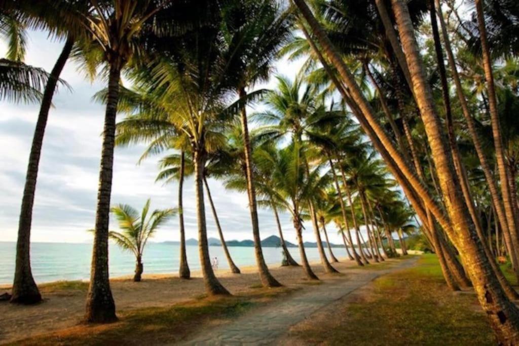 Hotel Palm Cove Studio Apartments *