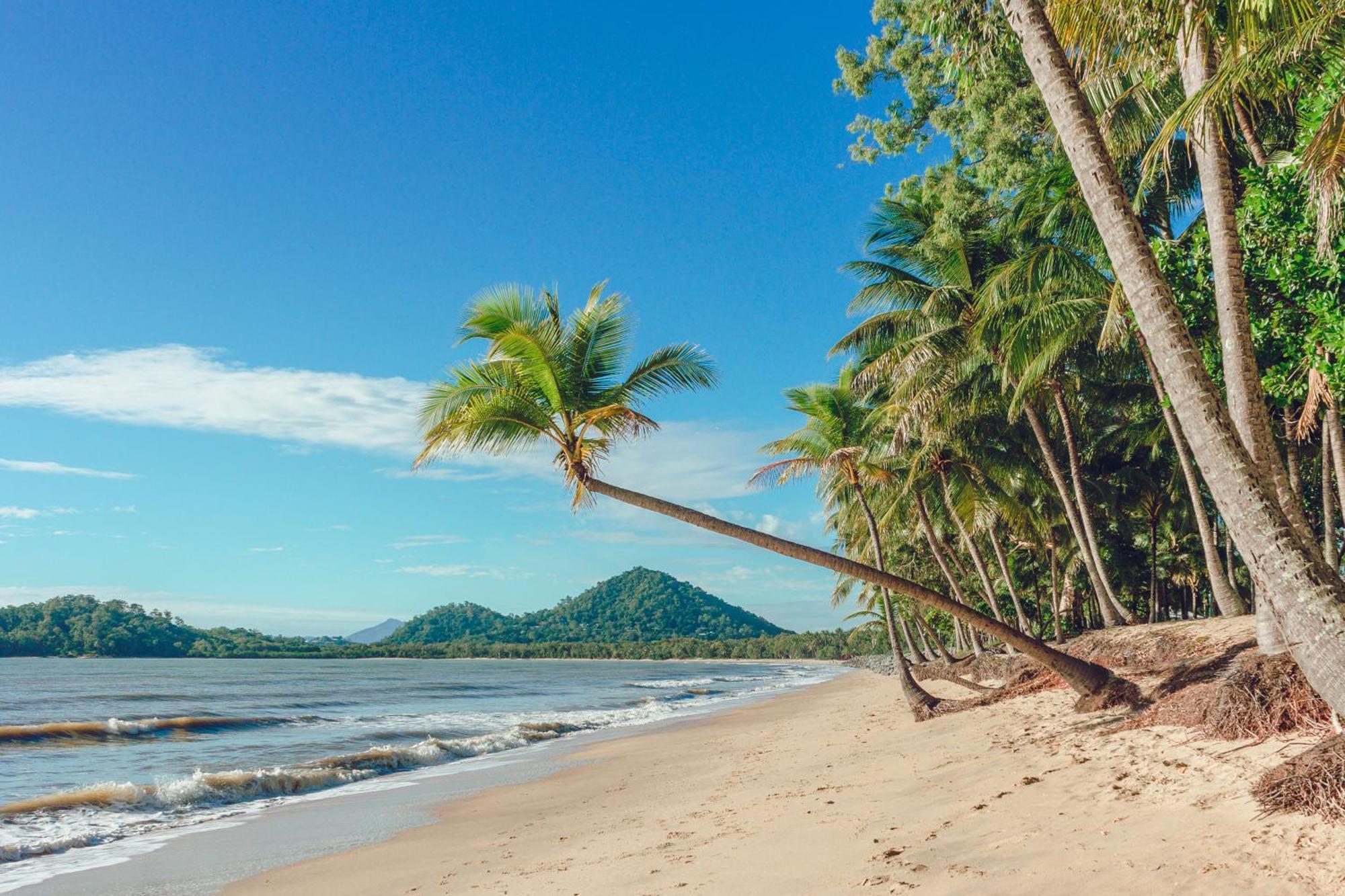 Serenity @ Drift - * Palm Cove