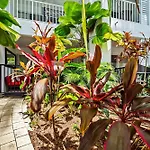 Beach Club Private Apartments Palm Cove