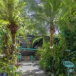 Celadon Holiday House