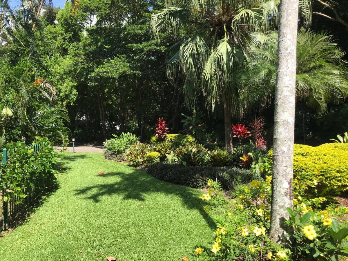 Secluded Tropical Palm Cove