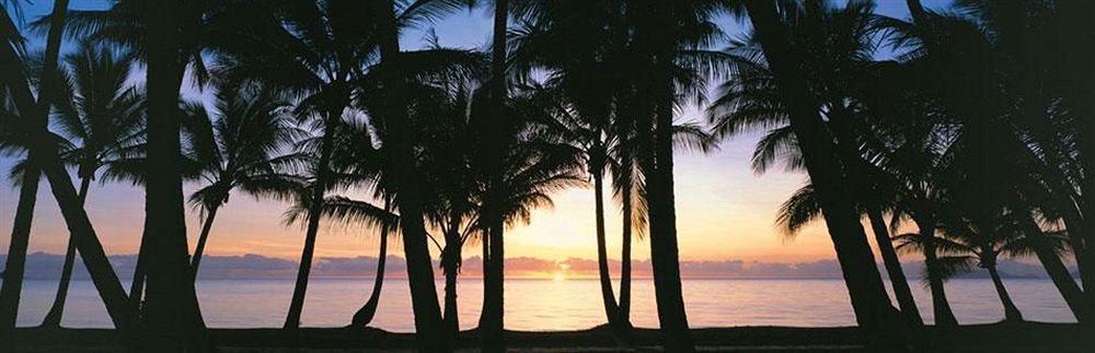 Paradise On The 4*
