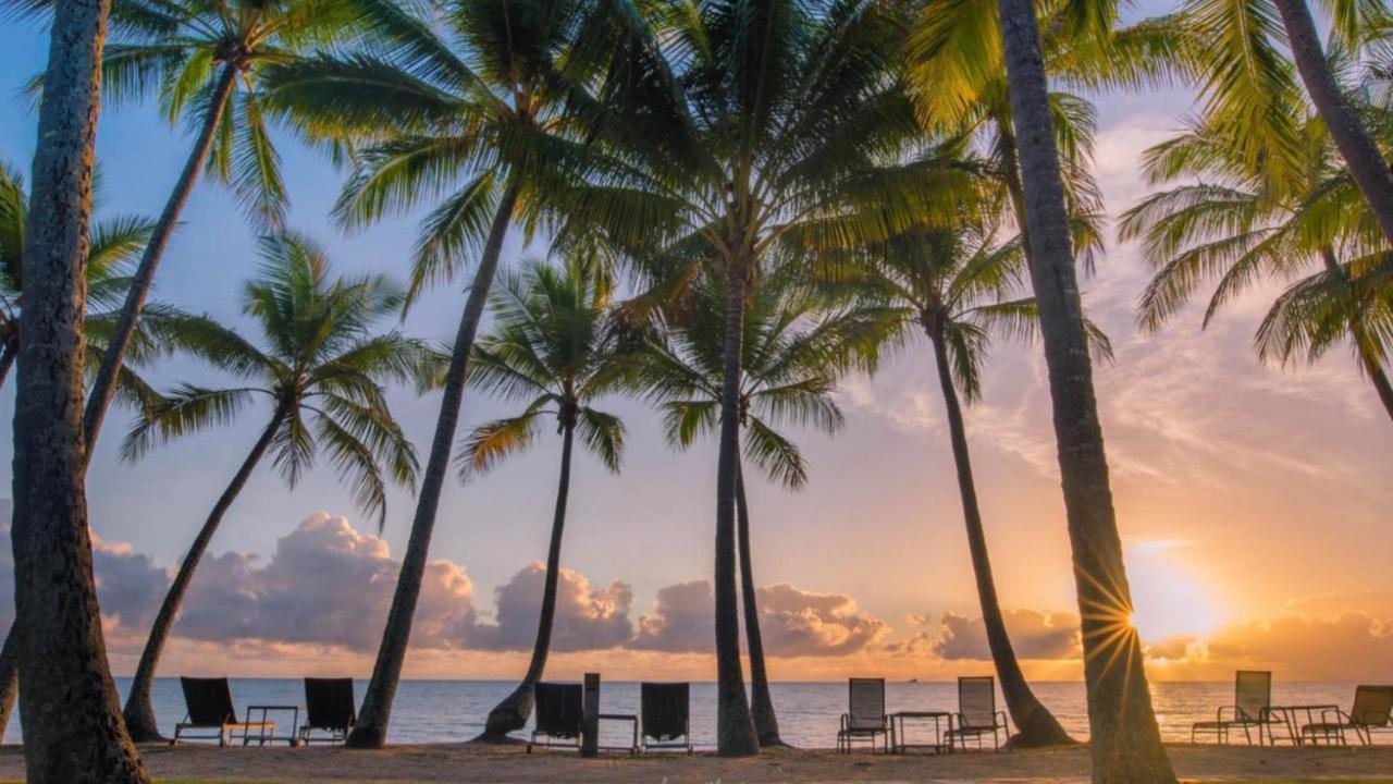 White - * Palm Cove
