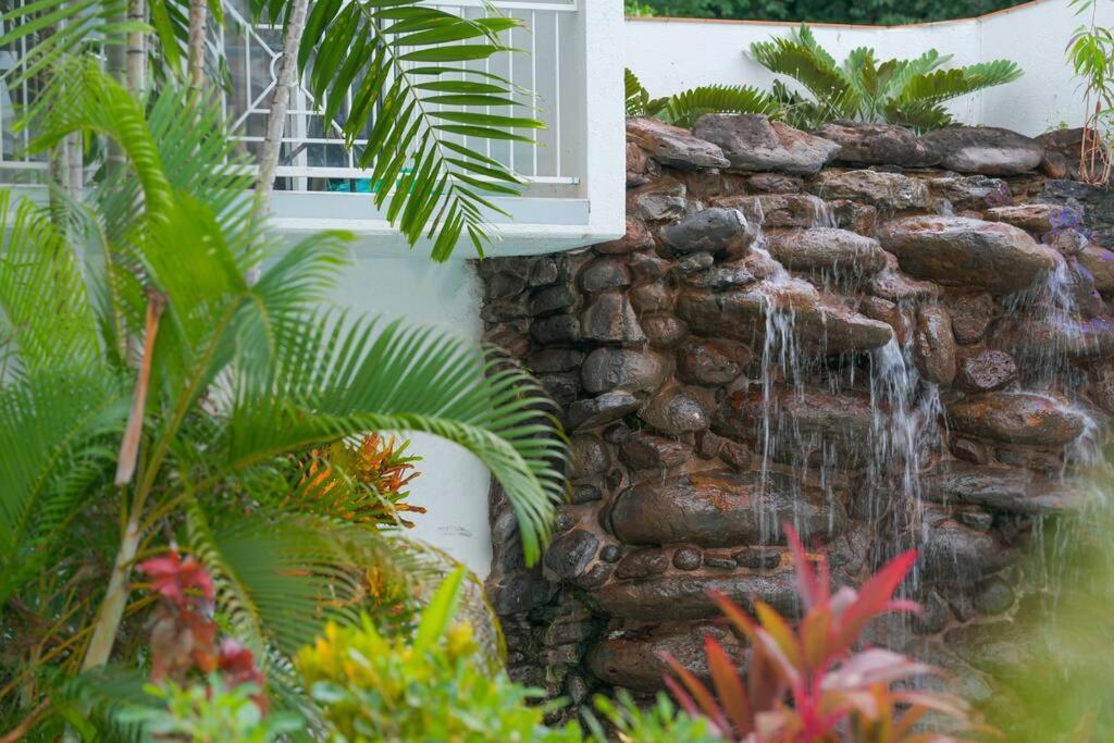 Haven - Alassio Beachfront - * Palm Cove