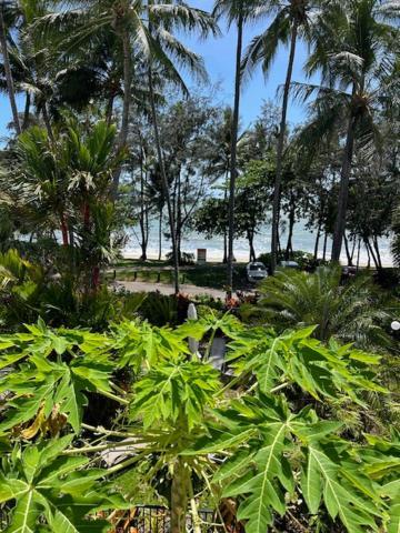 Chrissy's Cozy Cove Palm Cove