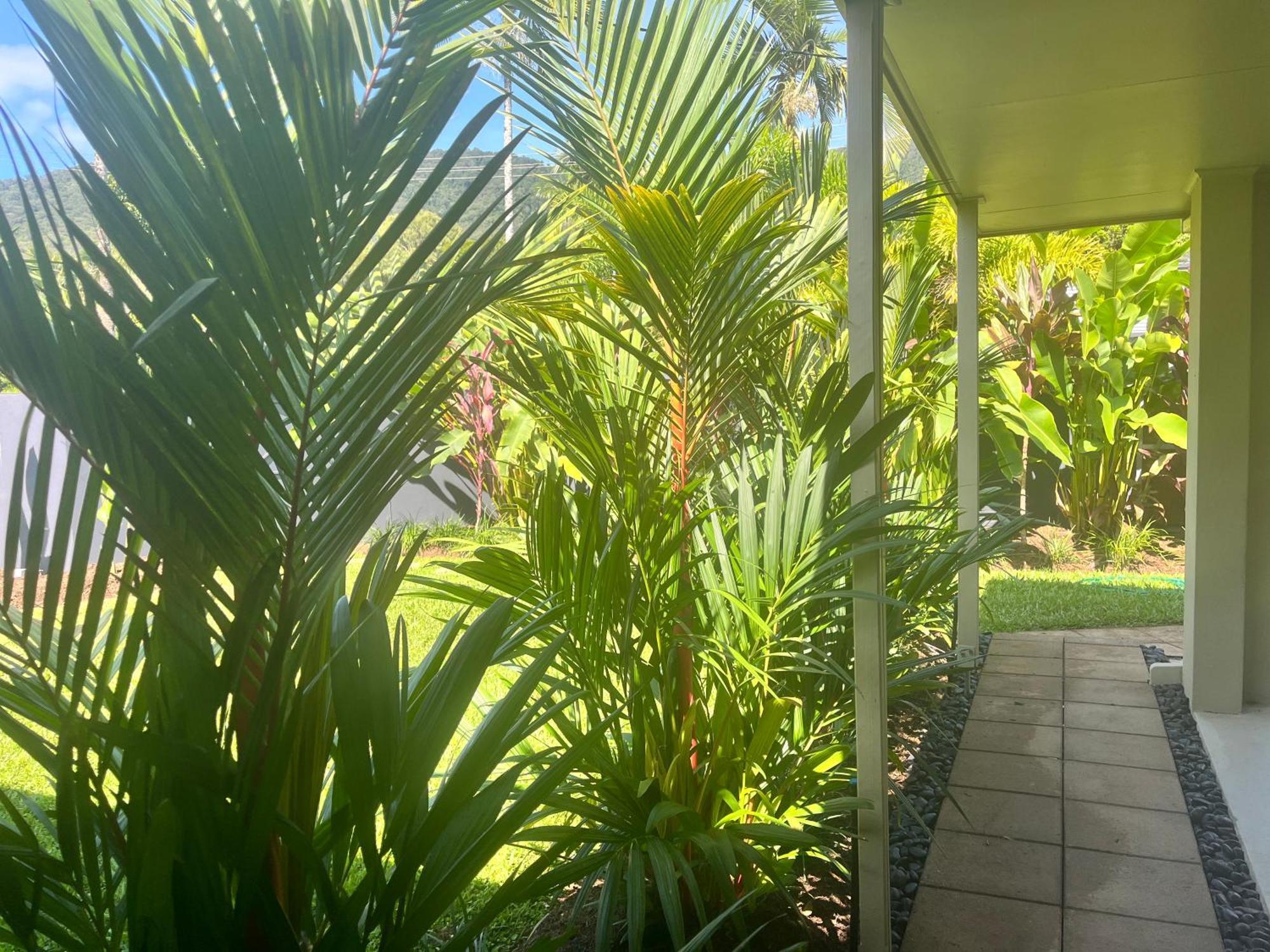 Holiday home Talpa Tropix- 5 Min Stroll To Beach Palm Cove