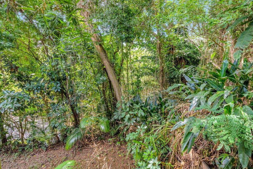 Triton's Retreat Apartment Palm Cove