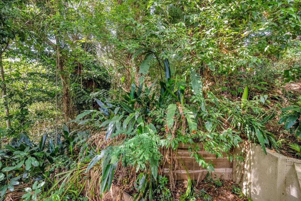 Triton's Retreat Apartment