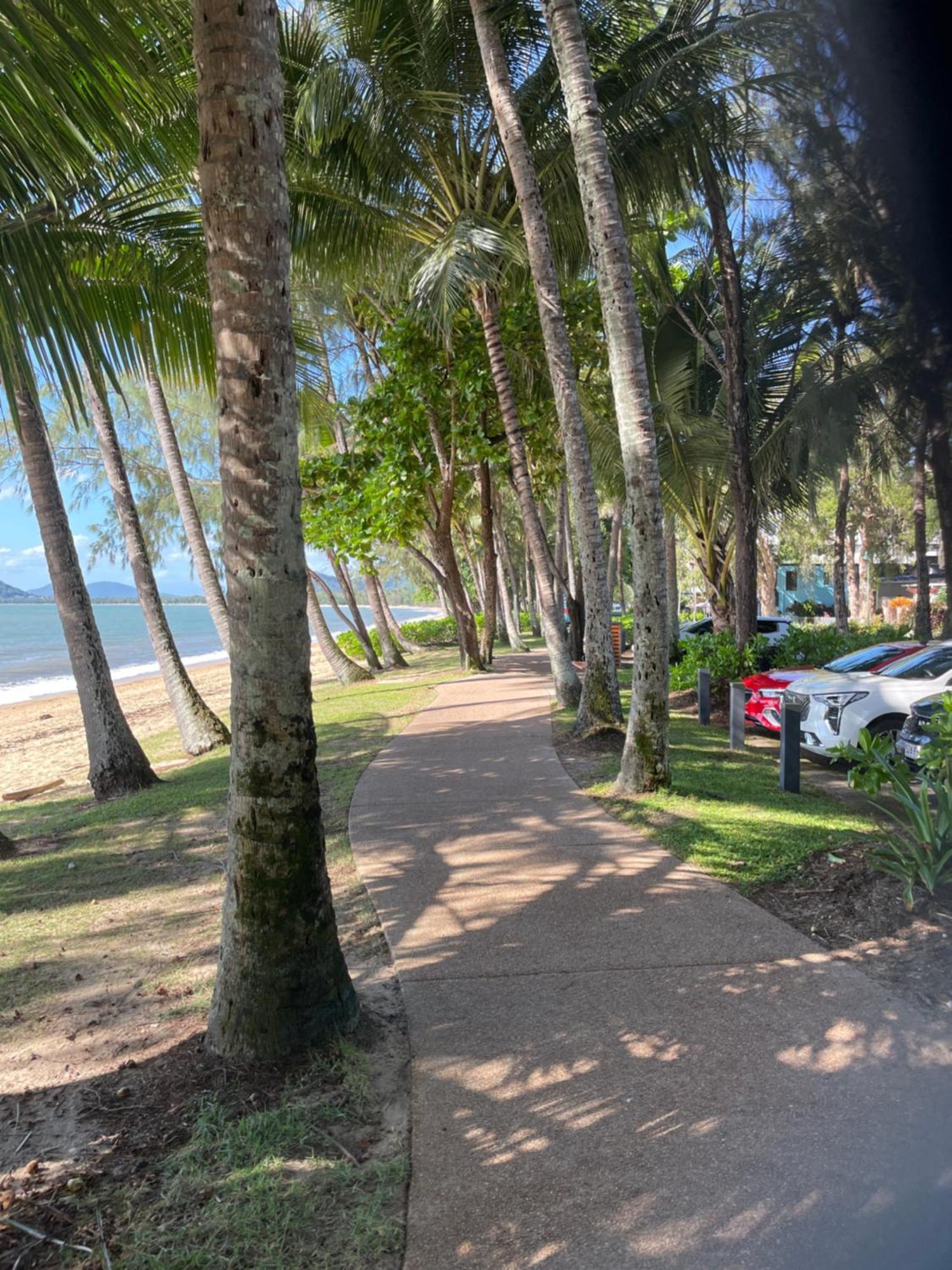 Secluded Tropical Palm Cove