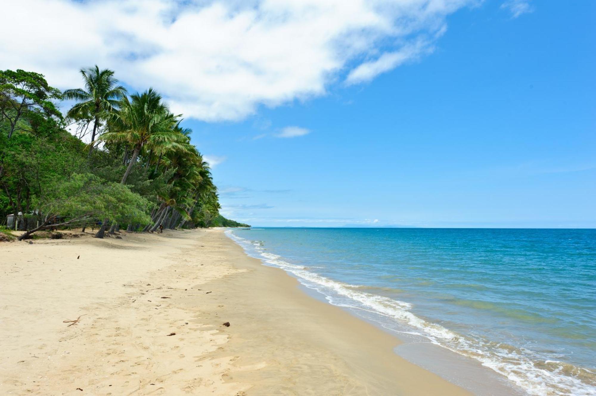 Ellis Oceanfront Holiday park 4*