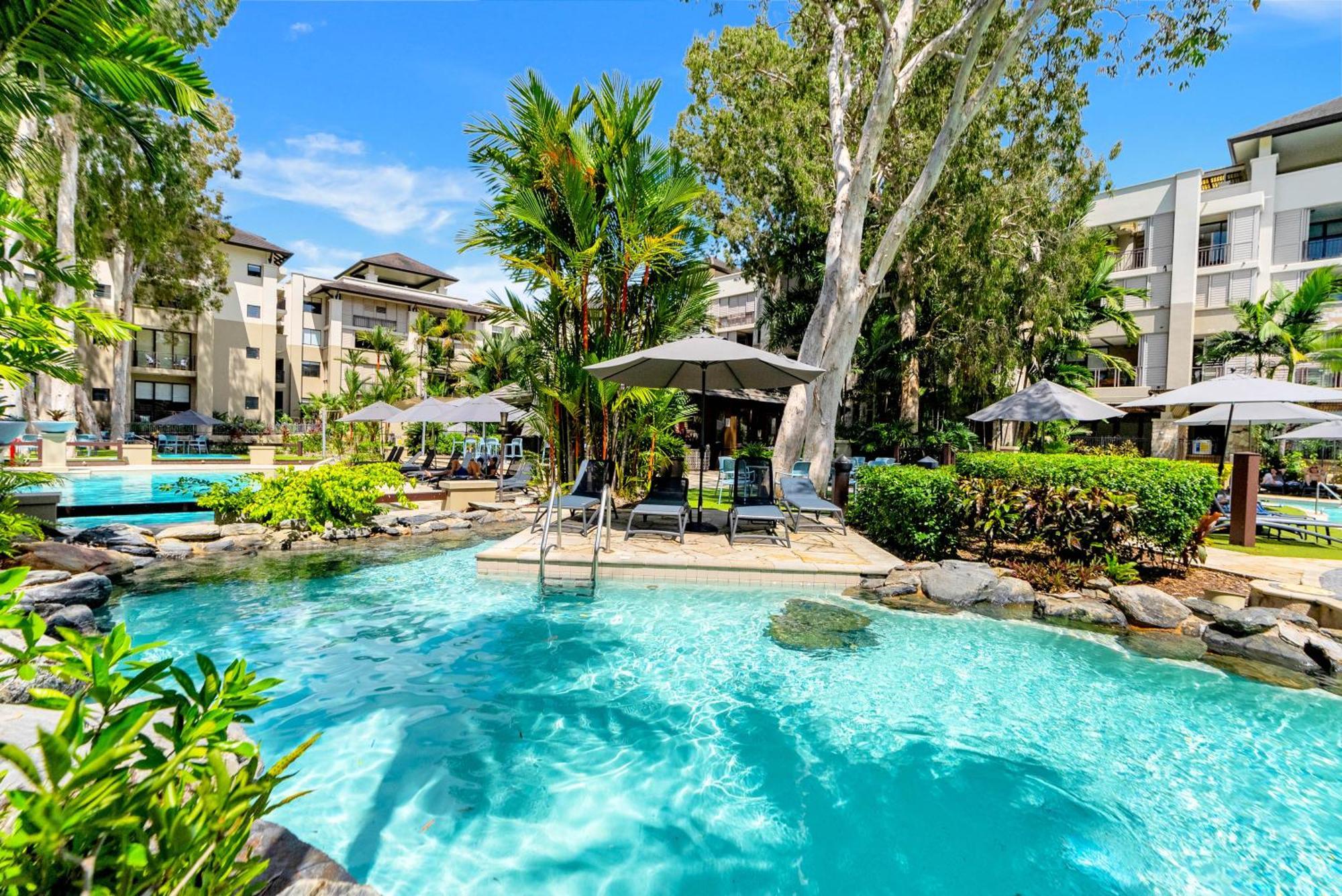 Bowmanii At Temple - Sunkissed Tropical Vibes * Palm Cove