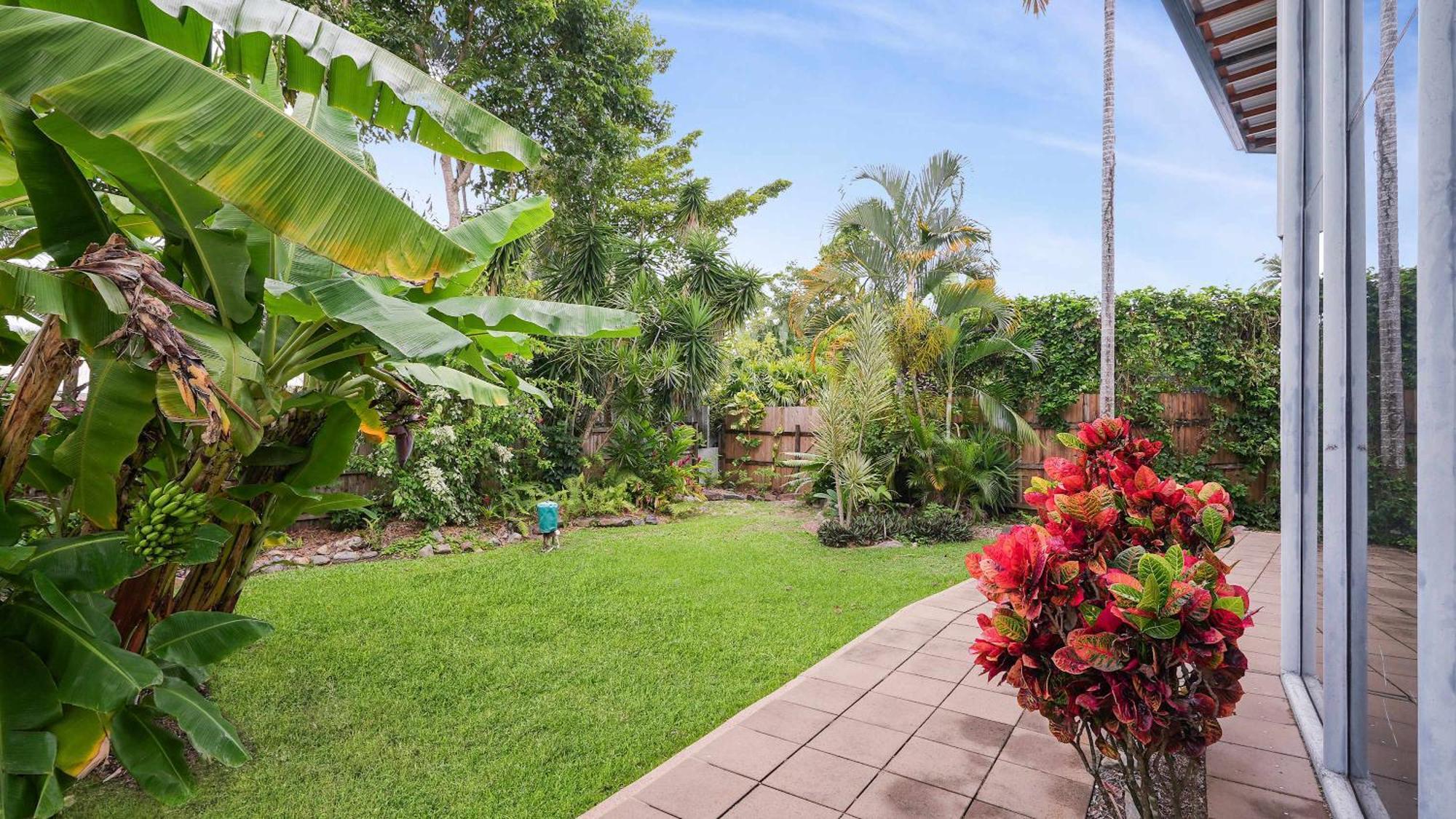 Tropical Grove Palm Cove