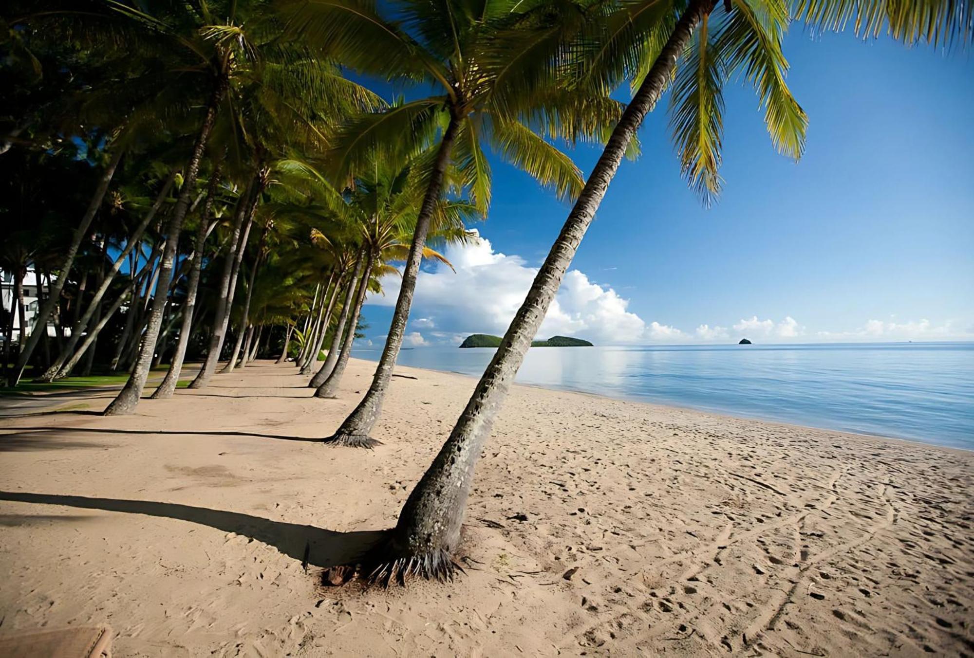 Vista - A Temple Family Treasure Apartment Palm Cove