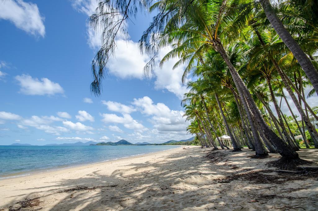 Cairns Beaches Flashpackers Palm Cove