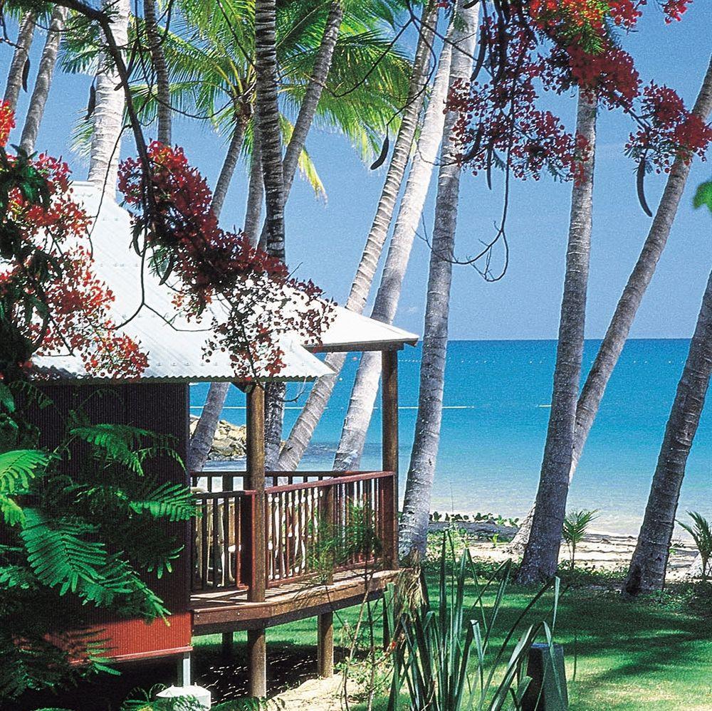 Ellis Oceanfront Palm Cove
