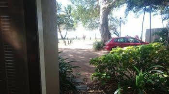 Coral Horizons - Beachfront