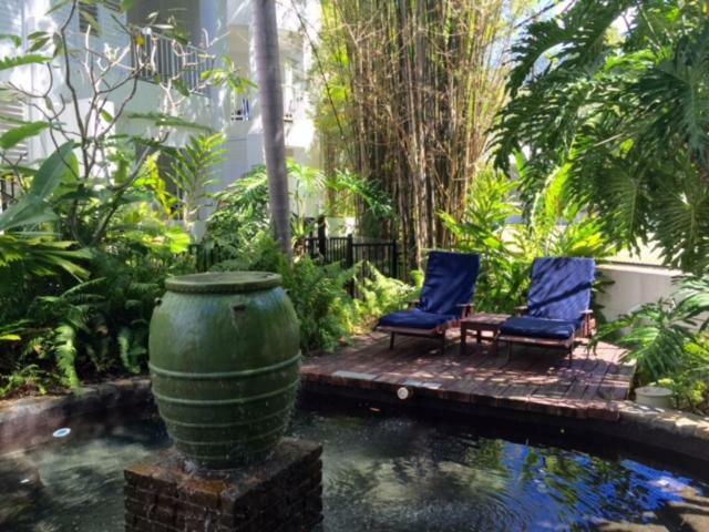 Resort Serenity At The Palm Cove
