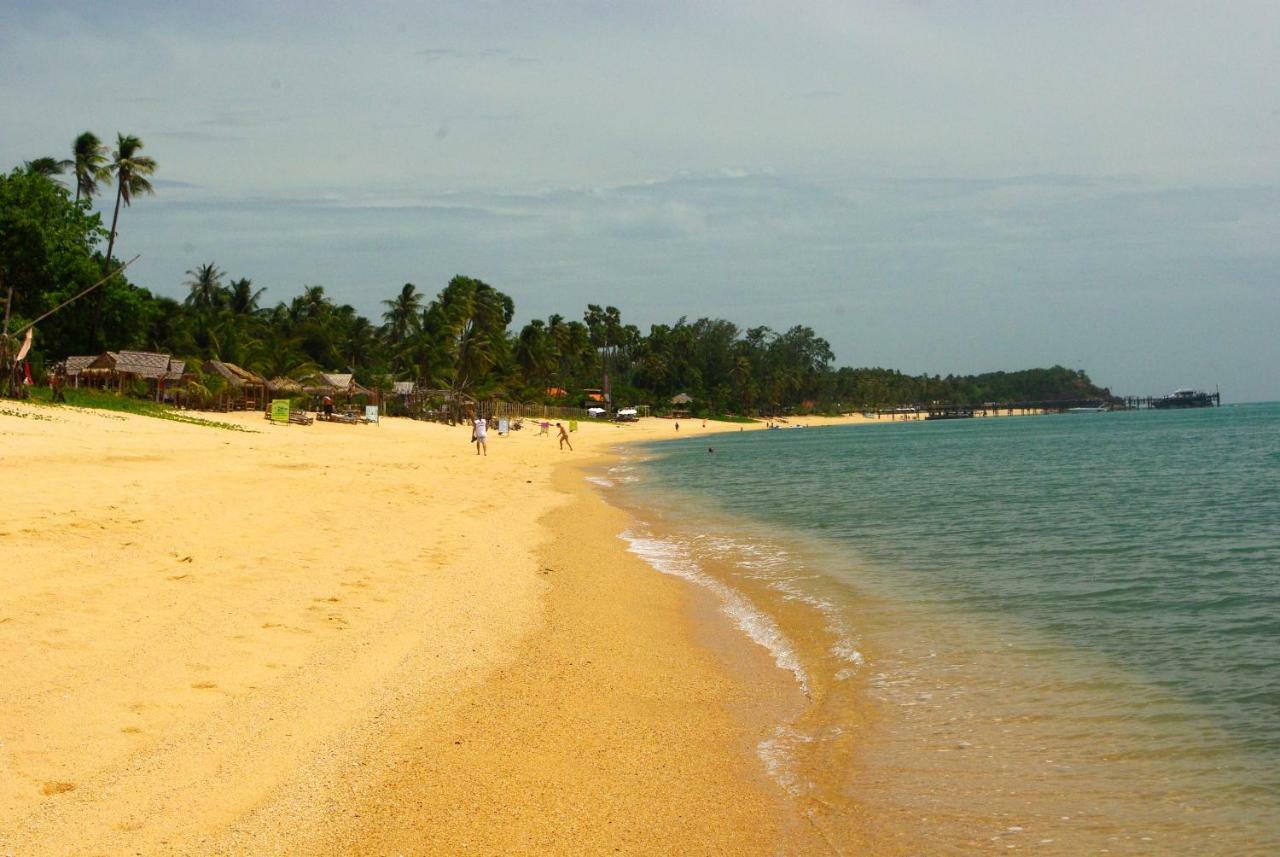 Serenity At The Palm Cove