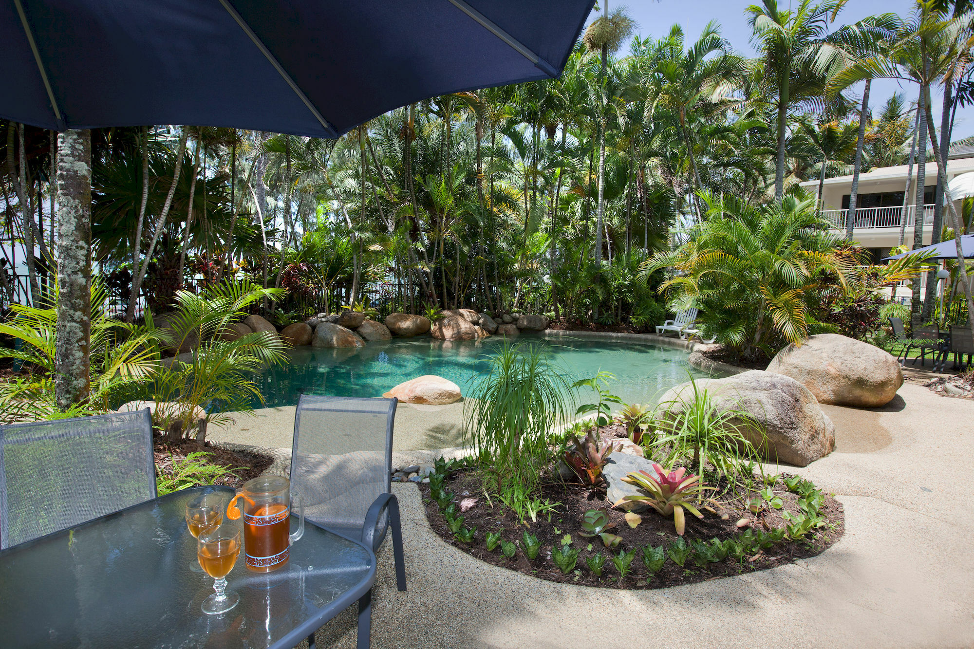 Melaleuca 4*