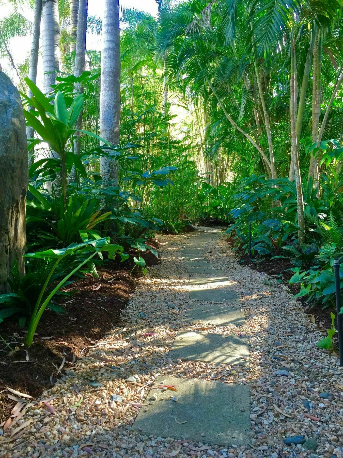 Serenity At The Palm Cove