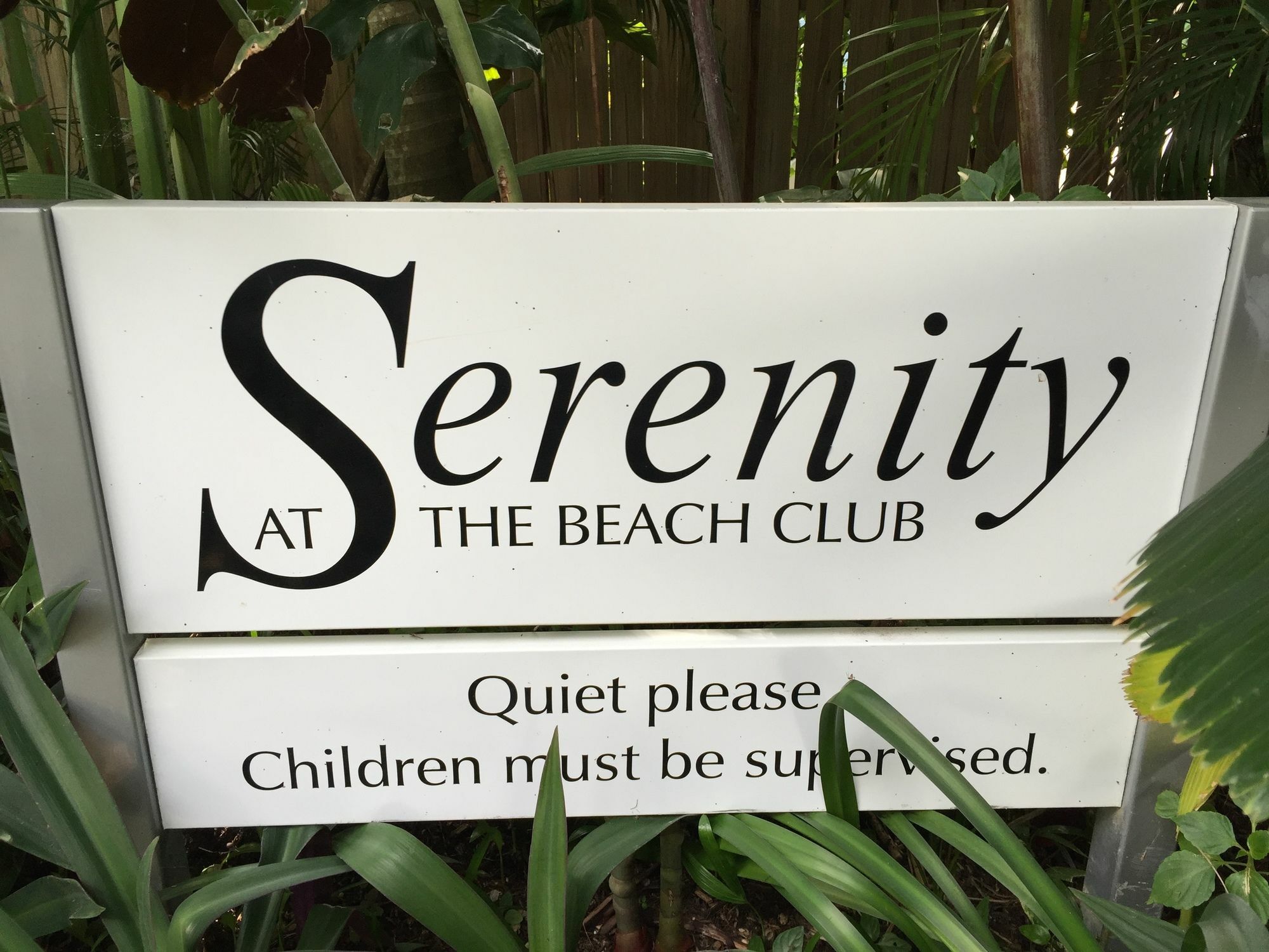 Serenity At The 5* Palm Cove