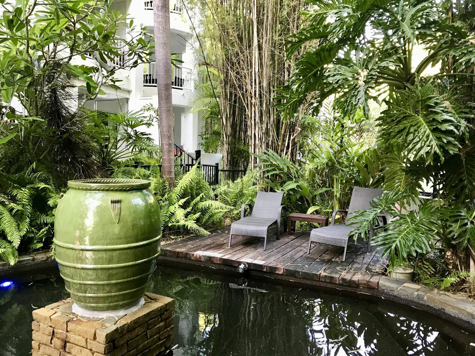 Serenity At The 5* Palm Cove