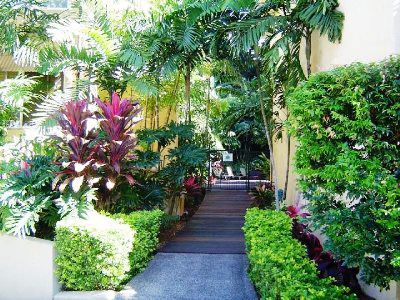 Tropic