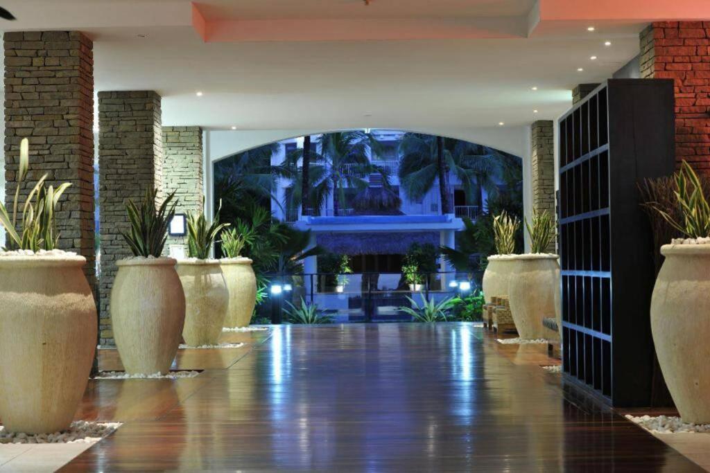 Club Palm Cove