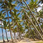 Tranquility Relax Palm Cove