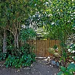 A Cozy Palm Cove Unit 3 With A Private Garden