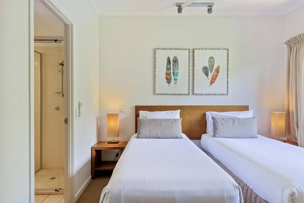 Primrose At Amphora Resort—breezy Beachfront Bliss Palm Cove