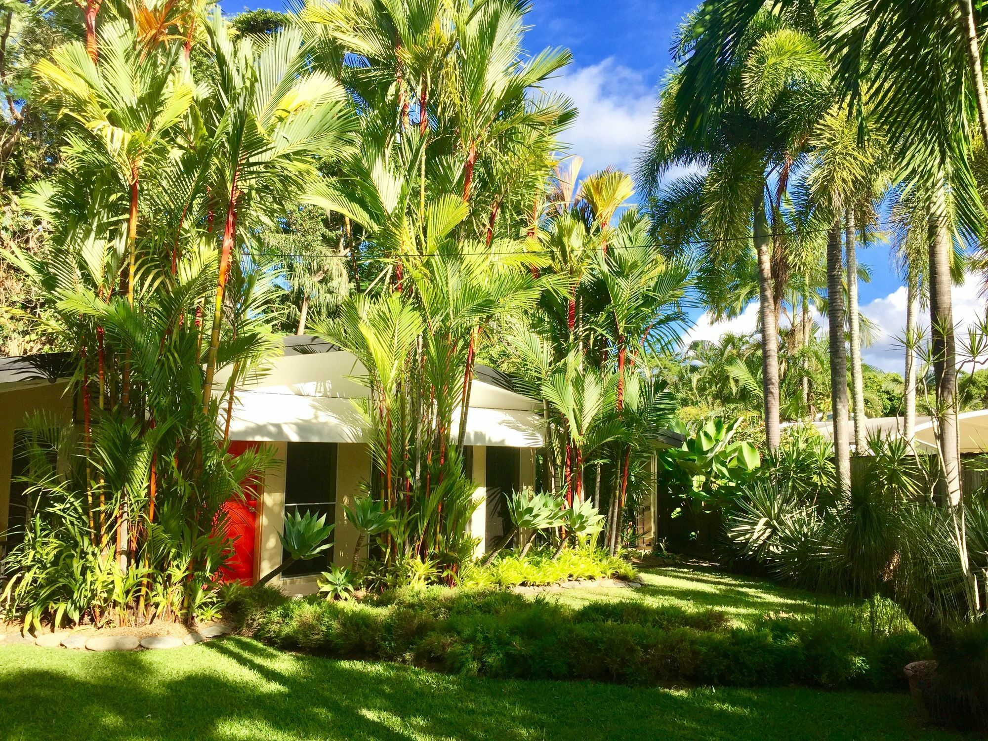 Aquatica - Luxe Holiday Home * Palm Cove