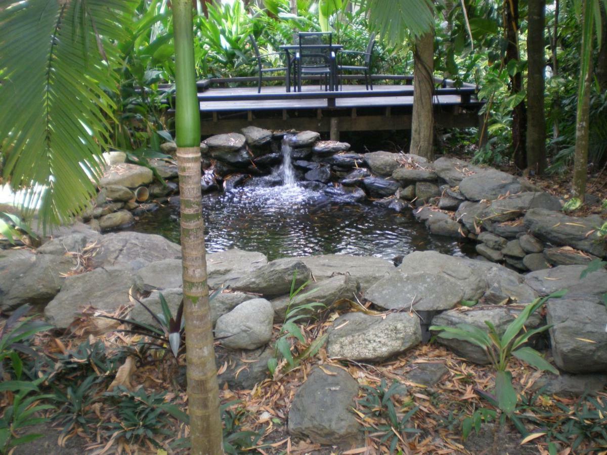 Hidden Gem @ Apartment Palm Cove